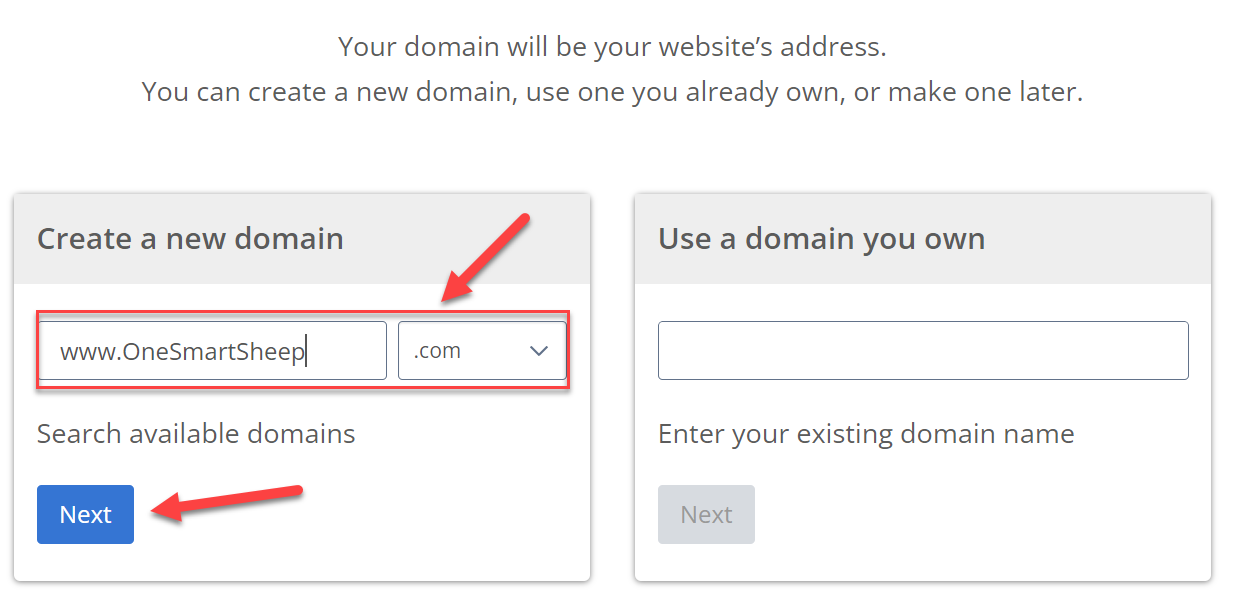 Como registrar seu nome de domínio com sucesso (com diferentes registradores de domínio)