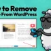 Como remover tema do WordPress (4 métodos comprovados)