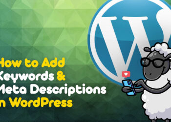 Como adicionar palavras -chave no WordPress (guia visual passo a passo)